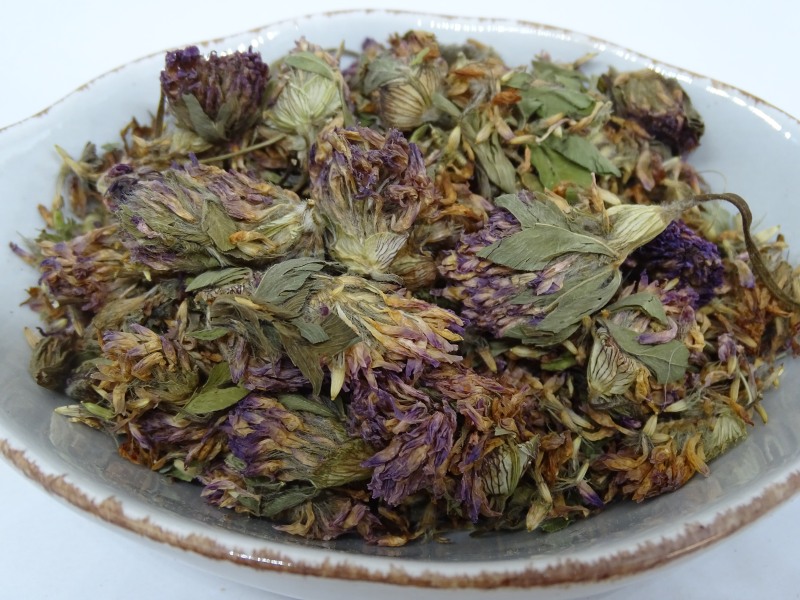 Rotklee Blüten bio